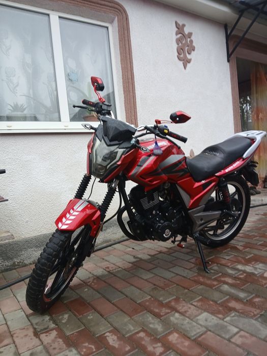 Musstang Region mt 08