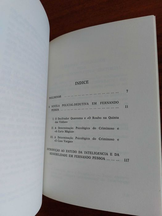 Discurso Irregular I: Novela em Fernando Pessoa - Fernando L. Soares