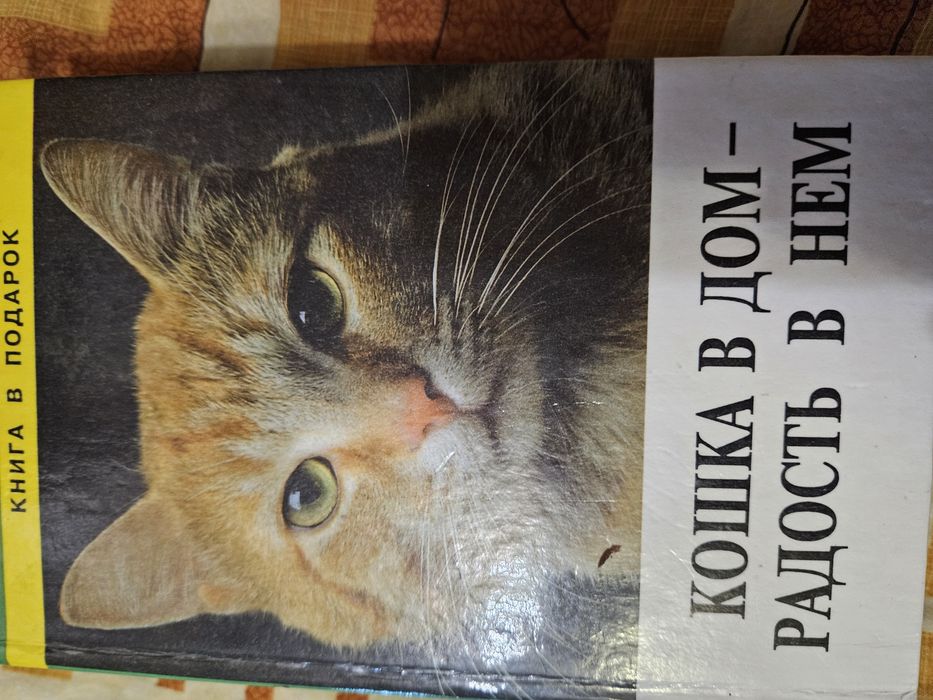 Книги для дітей різні