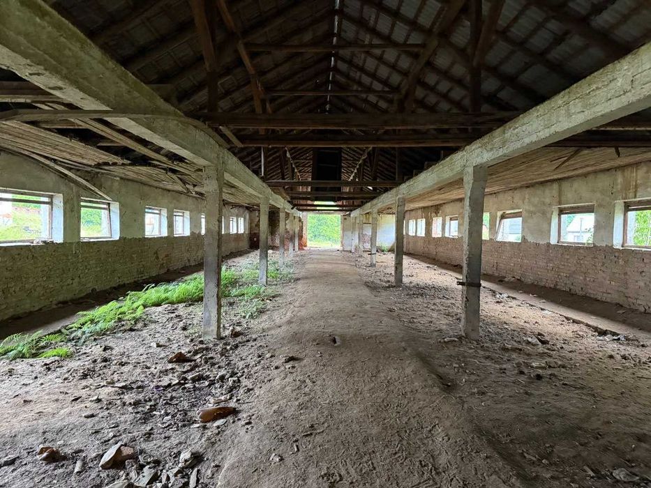 Виробниче приміщення, нежитлове приміщення, телятник, ферма