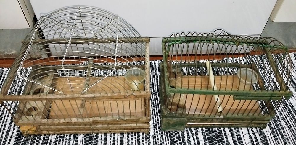 Vendo ou troco por aves