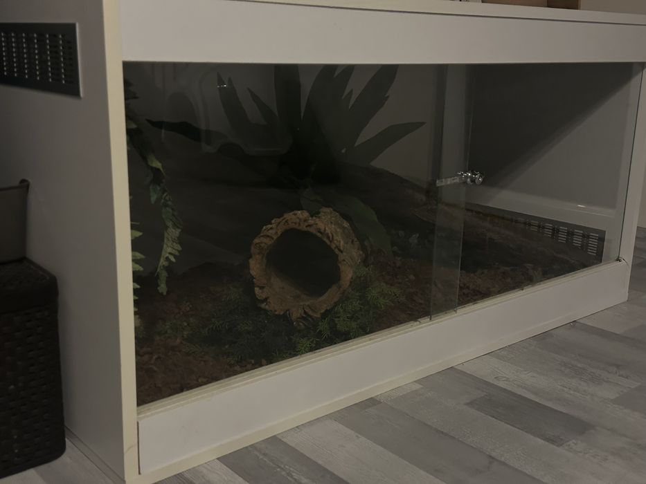 Terrarium 120x60x60