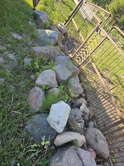 Kamienie polne duże