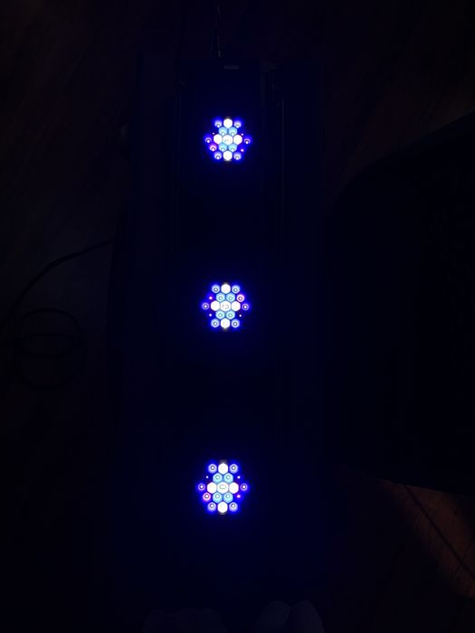 Lampa Maxspect RSX R5-R150 150W do akwarium morskiego morskie (Razor)