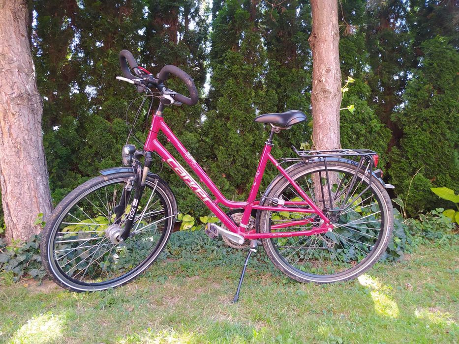 Rower miejski Carver Alaska