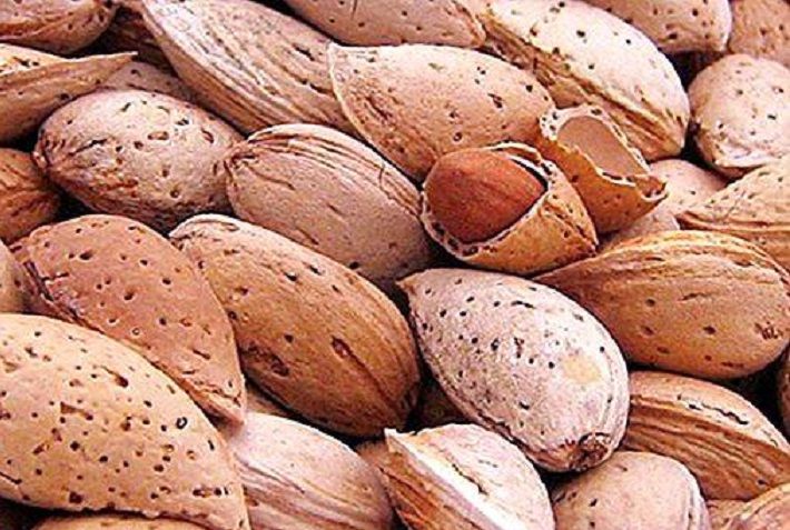 Азиміна Сіянці Насіння продам обміняю