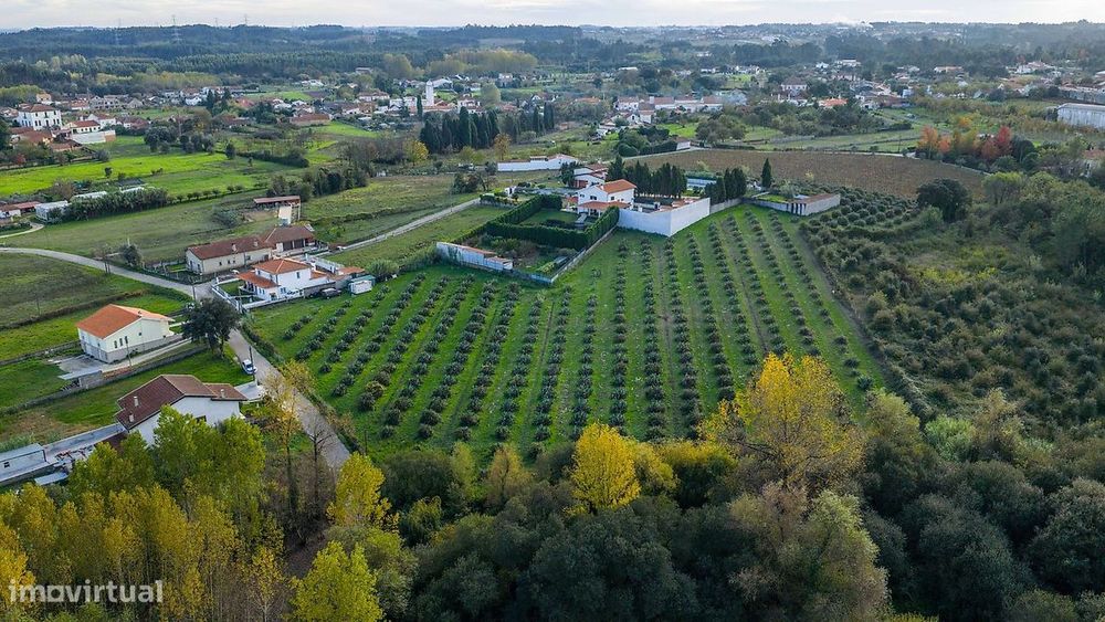 Terreno  para venda