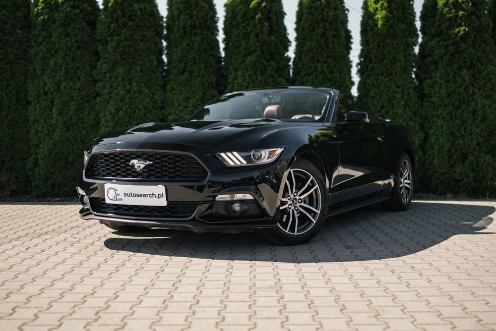 Ford Mustang 2.3 EcoBoost, 290 KM, Convertible, Serwisowany, Wentylacja, Shaker