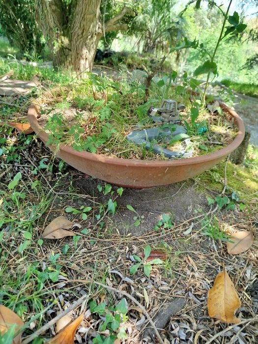 Vasos e decoração de Jardim
