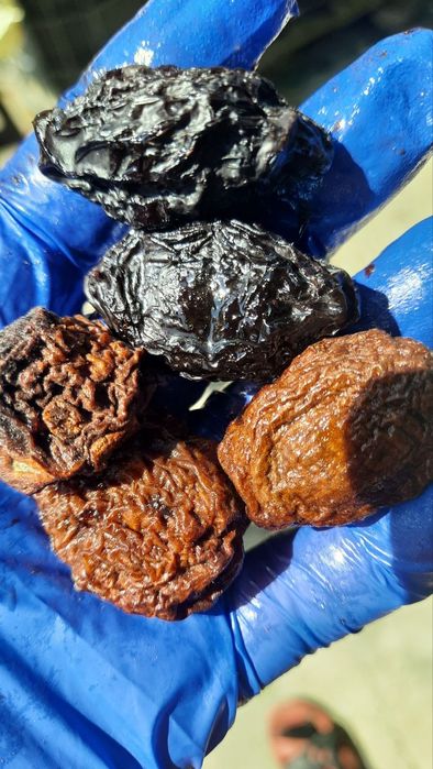 Абрикос сушений без кісточки урюк. КІСТОЧКА АБРИКОСА