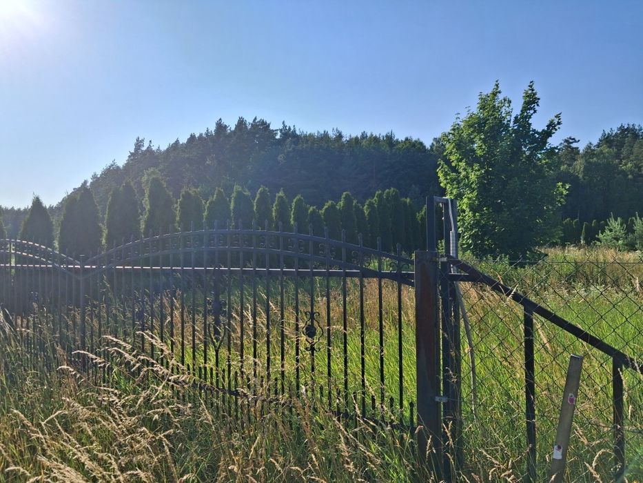 Zdjęcie 3