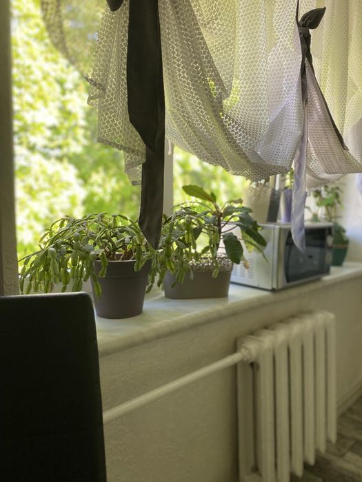 Погодинно квартира в Центрі