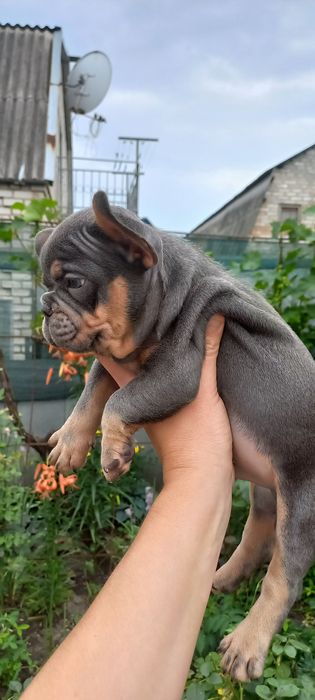 Супер мальчик ждёт Вас