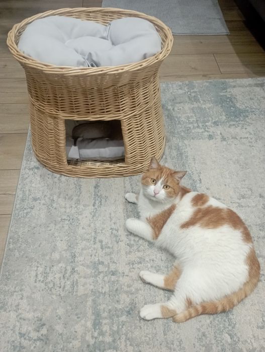 Wiklinowy domek legowisko dla kota.
