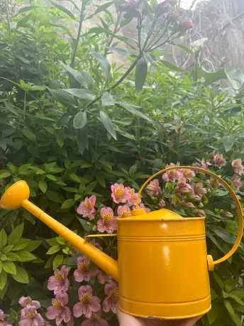 Regador Artesanal 2 L