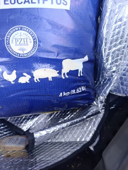 Sandezia dezynfekcja