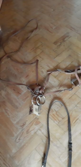 Sela inglesa em couro com arreios