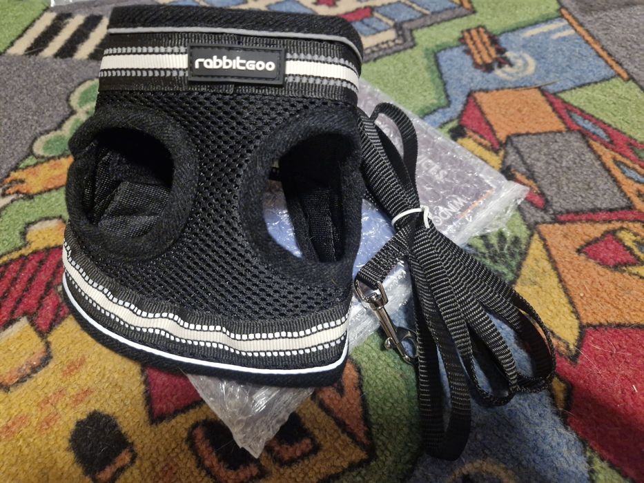 Rabbitgoo uprzęż szelki dla kota królika