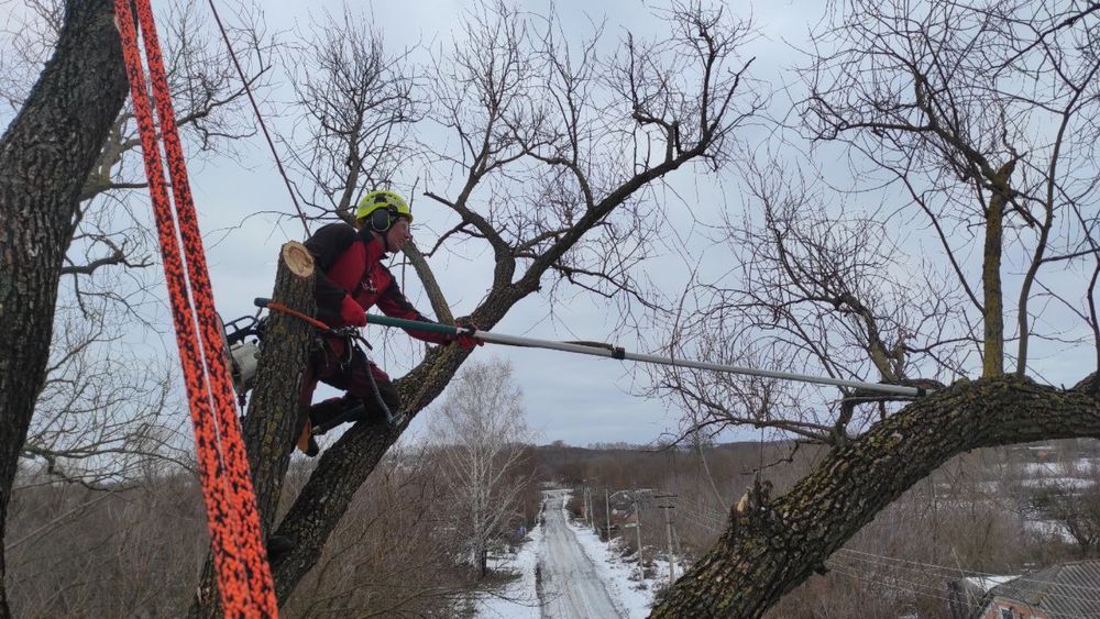 Зрізання аврійних дерев. Догляд. Послуги подрабнювача. Досвід Гарантія