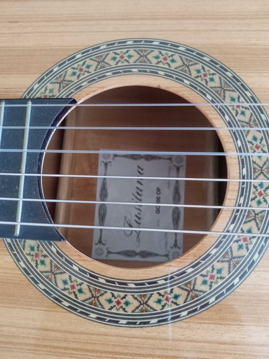Guitarra da APC com saco