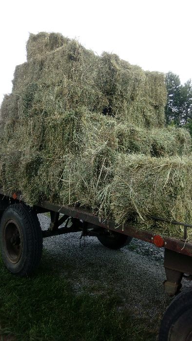 Siano w kostkach bez nawozów