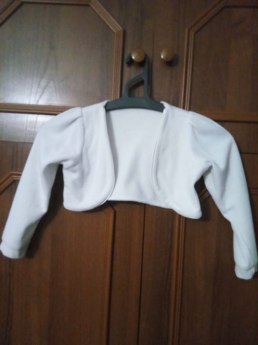 Продаю або здам в оренду ( якщо невідправляти поштою )