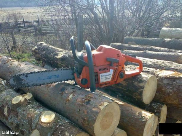 Wycinka i pielęgnacja drzew -Rybnik i okolice