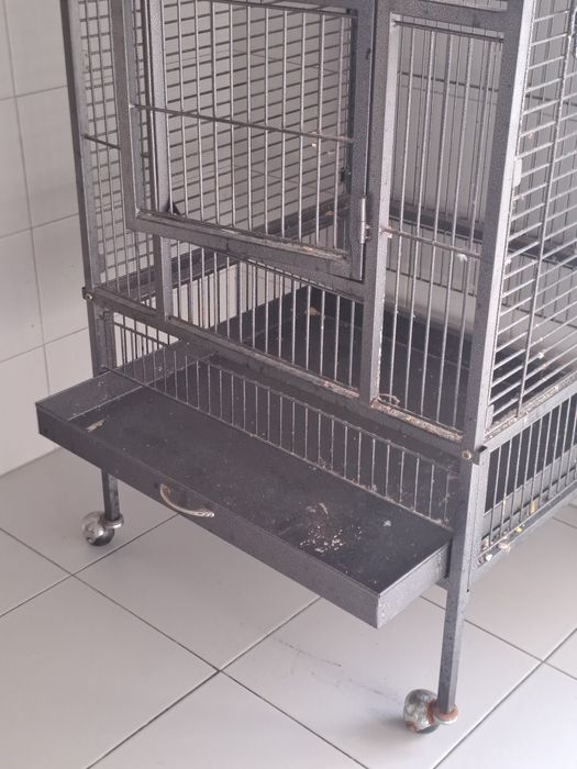 Gaiola Gaiola Gaiola