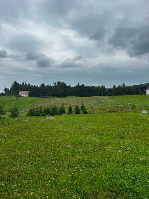 Działka budowlana
