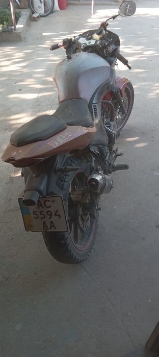 Продам мустанг 200-10