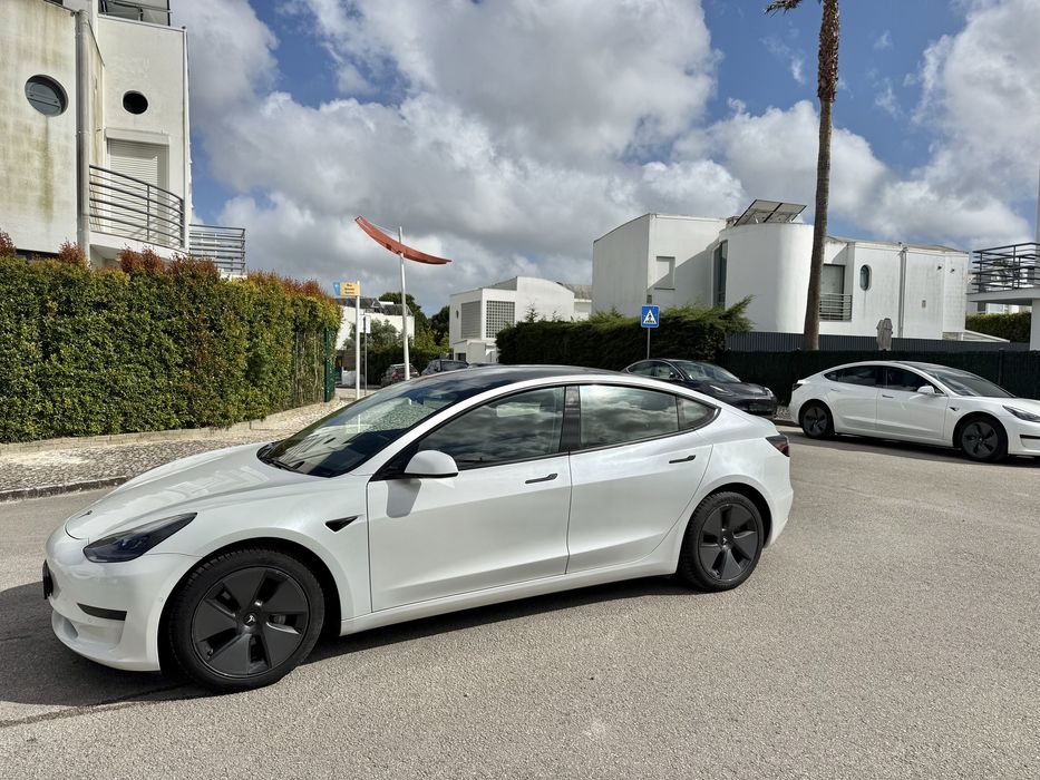 Tesla Model3 2021 Standard range plus518739319336488964
