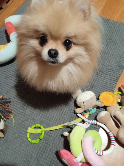 Очень добрый и красивый мальчик.. Ищет девочку