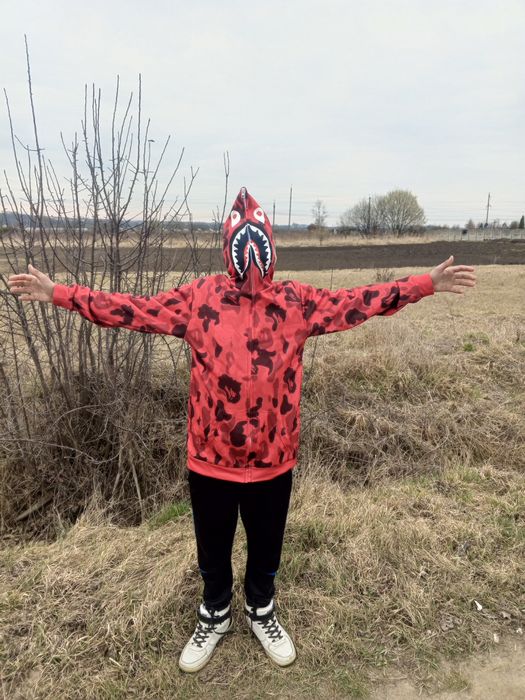 БЕЙП червоний с папга,СРОЧНО