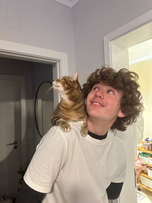 Especialista em Gatos - 20 Anos de Experiência + Cuidados a Domicílio