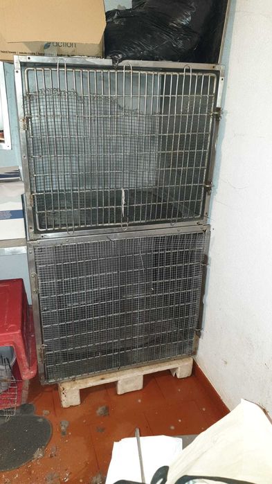 Material para clinica veterinaria