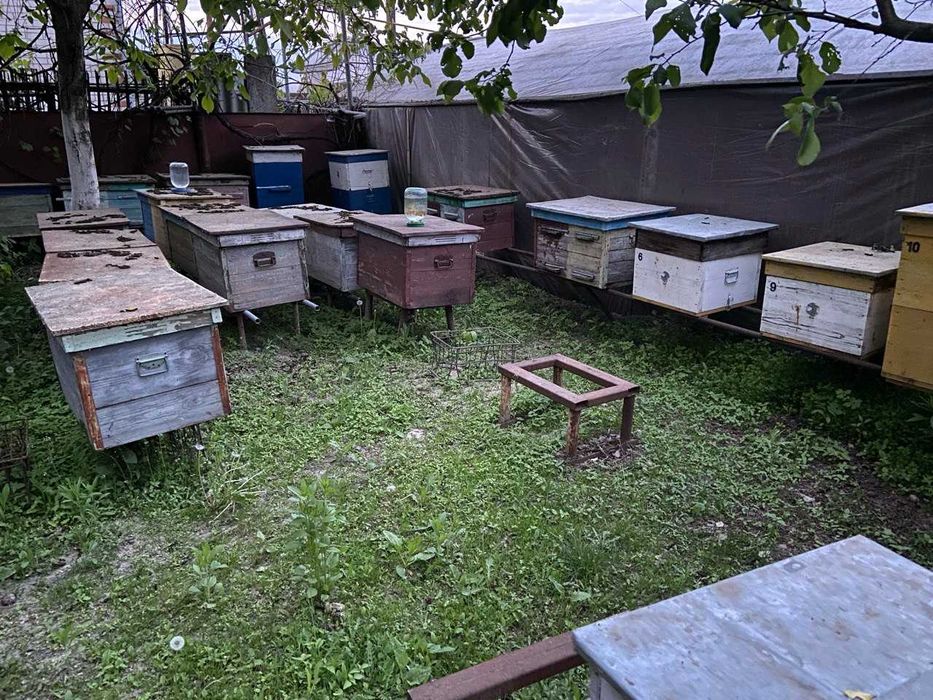 Бджоли, медогонка, вулики, вощина, рамки