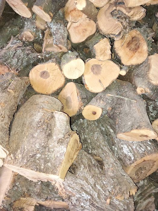 Lenha seca em armazém