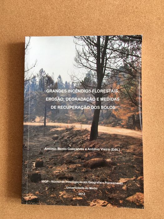 Grandes Incêndios Florestais - NIGP