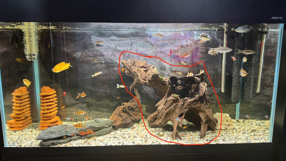 Tronco / Raiz para Aquário