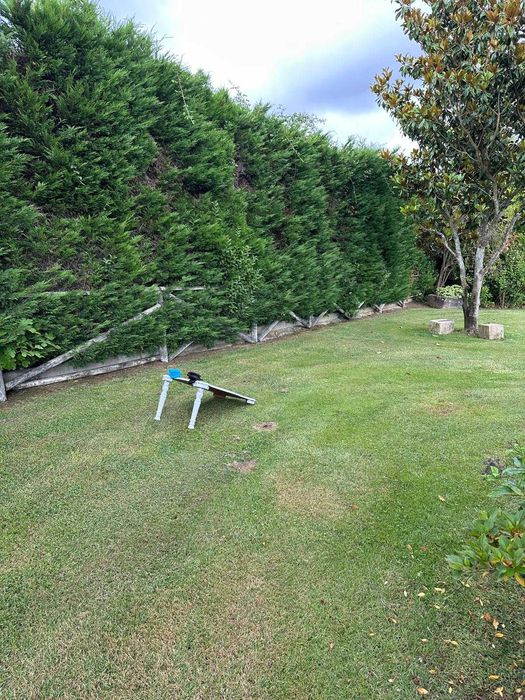 Jogo de Casamento / Cornhole em Madeira – Ideal para Festas