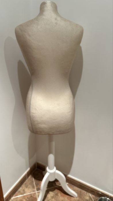 Modelo busto mulher