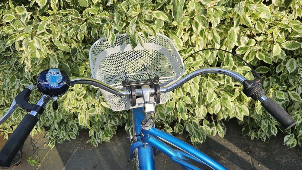 Rower electra, rower miejski