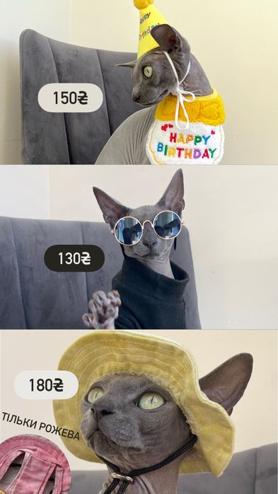 Одяг для кота / котів сфінксів девон-рексів