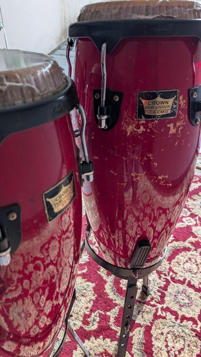 5 Congas Crown Remo