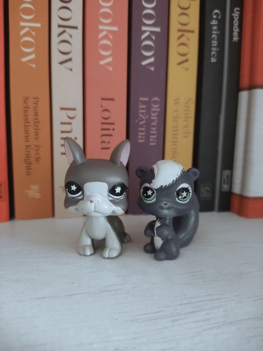 LPS Littlest Pet Shop Boston Terrier #958 i fioletowa wiewiórka skunks