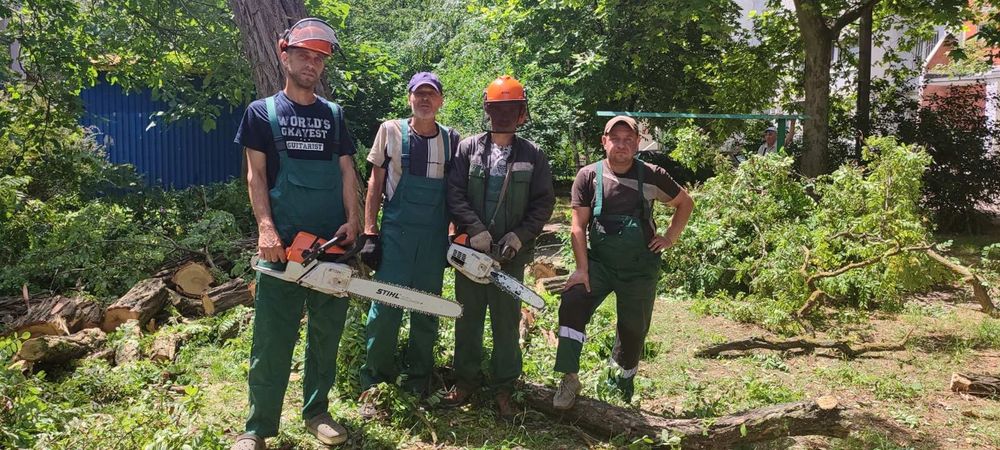 Обрезка и спил деревьев любой сложности