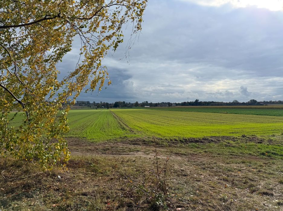 Działka siedliskowa MPZP Drzewce Lipce Reymontowskie. Plan ogólny przeznaczenie pod farmę PV