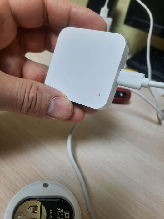 ZB Bridge Zigbee зигби шлюз мост  Ewelink