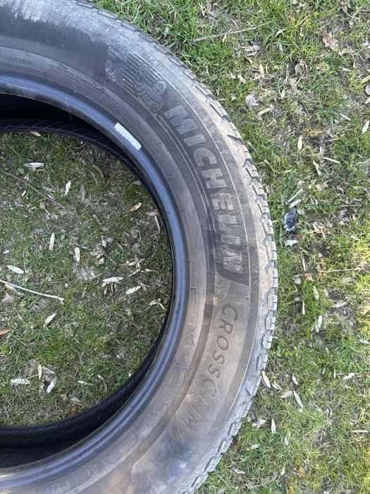 Opony Michelin CrossClimate 225/65 R18