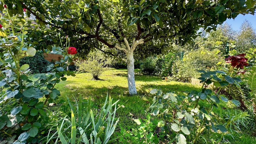 Продаж еко будинку з власним озером та соснами на території